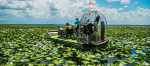 Orlando airboat tours Wild Willy's