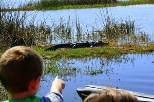 Orlando airboat tours Wildlife Florida Airboats and Parks