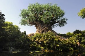orlando attraction packages animal kingdom