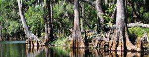 Orlando airboat tours Marsh Landing Adventures