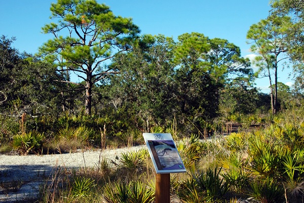 Amberjack Environmental Park